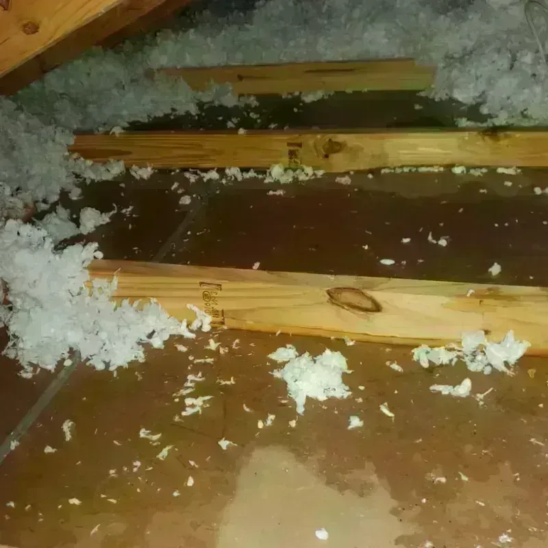 Attic Water Damage in Eddyville, IA